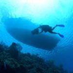 Travel to Little Cayman with A-1 Scuba